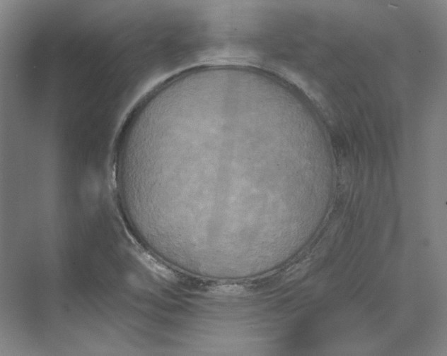 X0000069801462200606021426