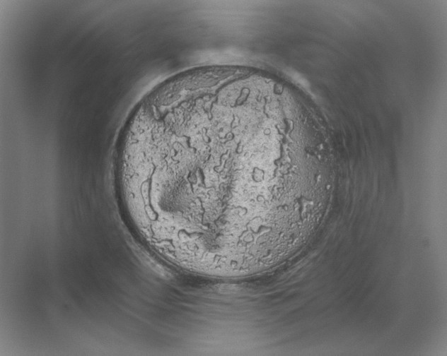 X0000069801463200606021426