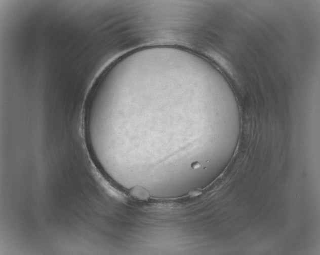 X0000069801468200606021426