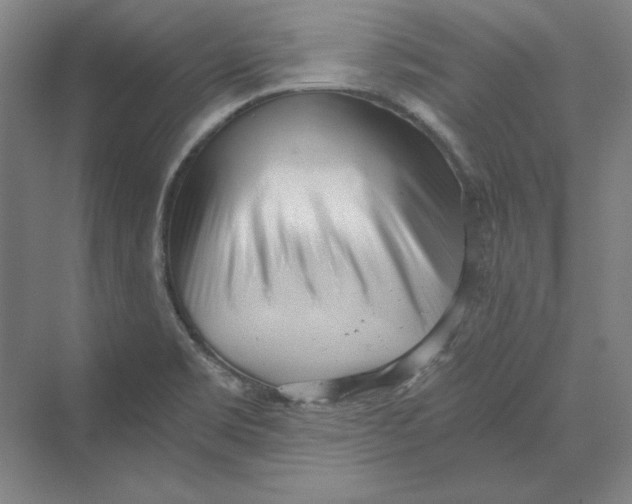 X0000069801469200606021426