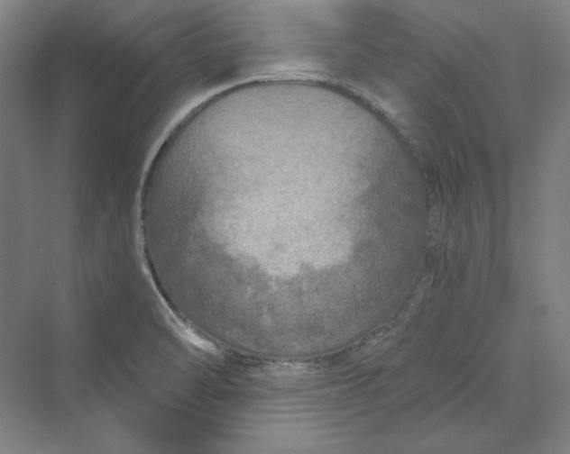 X0000069801470200606021426