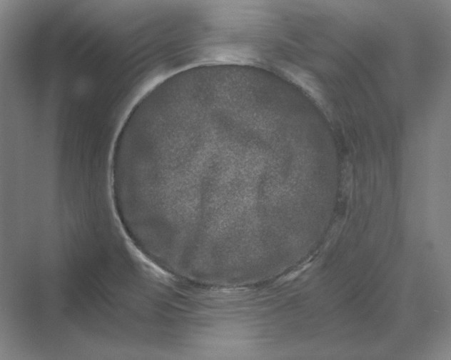 X0000069801471200606021426