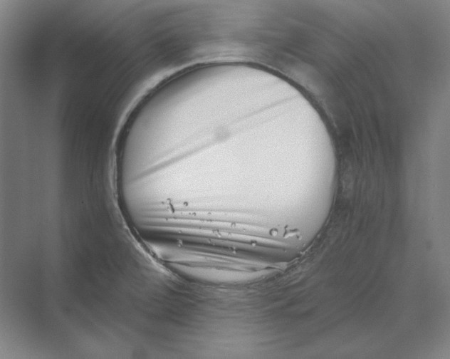 X0000069801472200606021426