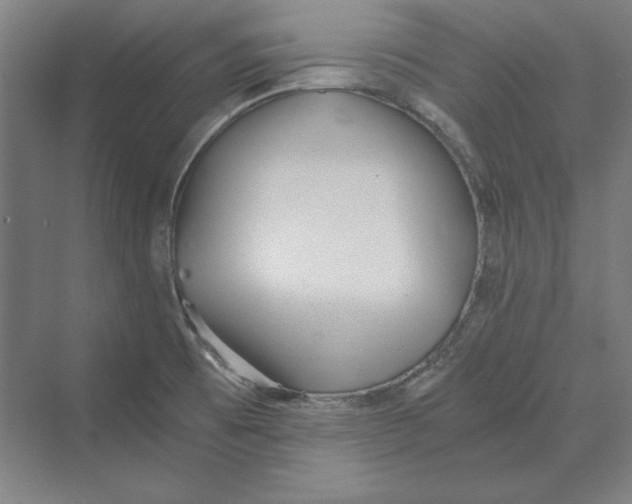 X0000069801473200606021426