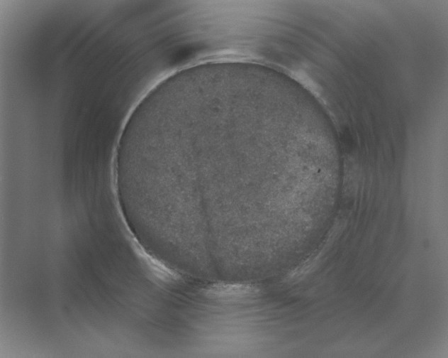 X0000069801474200606021426