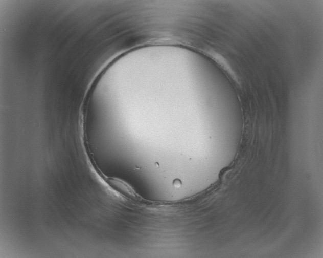 X0000069801476200606021426