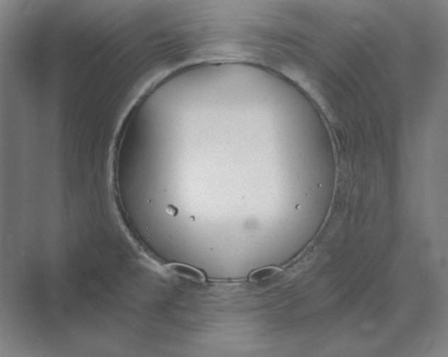 X0000069801477200606021426