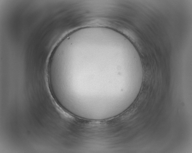 X0000069801478200606021426