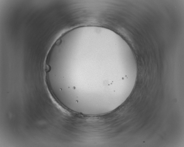 X0000069801479200606021426