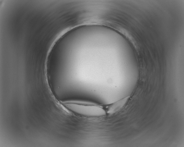 X0000069801480200606021426