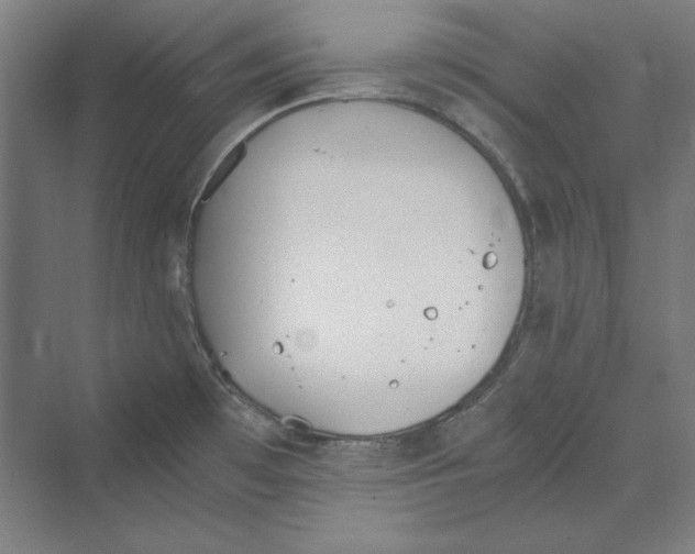 X0000069801481200606021426