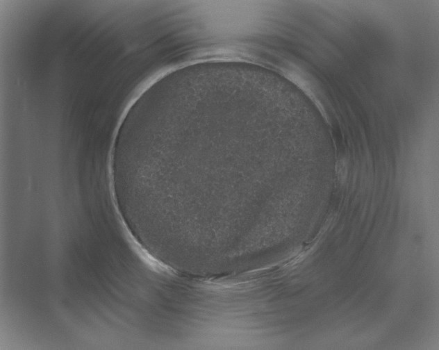 X0000069801482200606021426