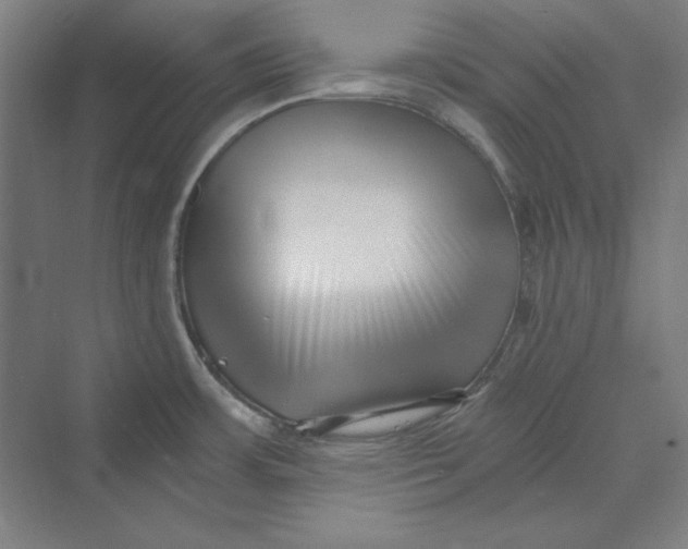 X0000069801483200606021426