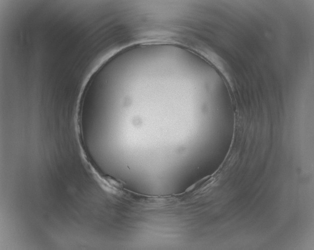 X0000069801485200606021426