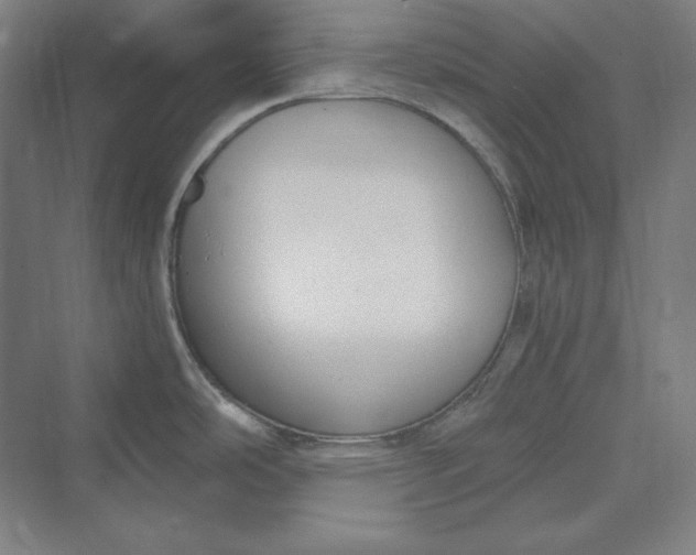 X0000069801486200606021426