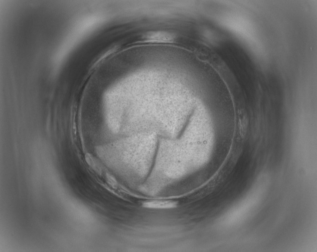 X0000069801487200606021426