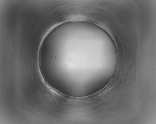 X0000069801488200606021426