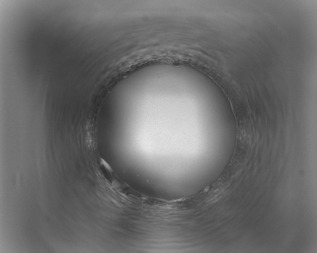 X0000069801490200606021425