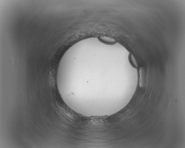 X0000069801491200606021425