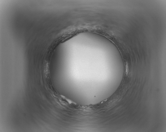 X0000069801492200606021425