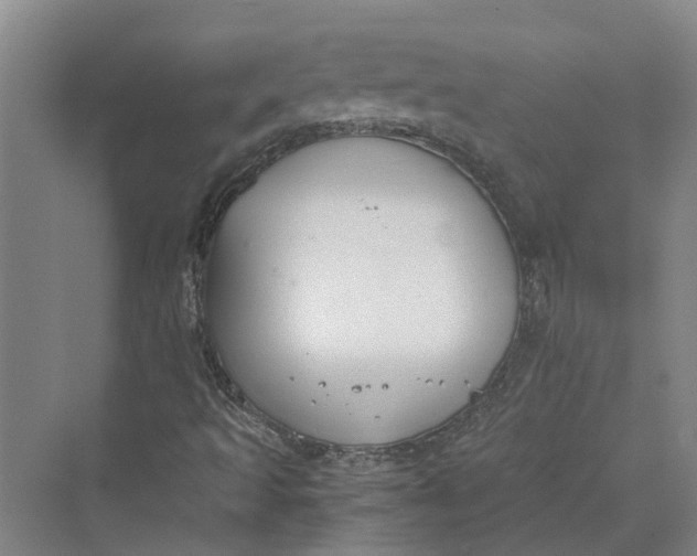 X0000069801493200606021425