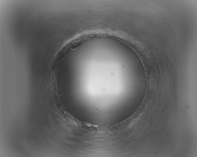 X0000069801494200606021425