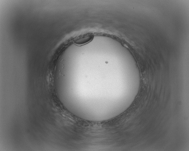 X0000069801495200606021425