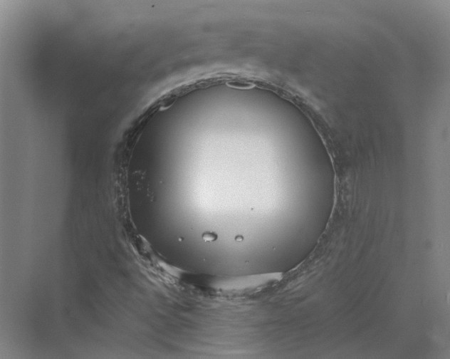 X0000069801496200606021425