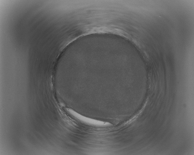 X0000069801497200606021425