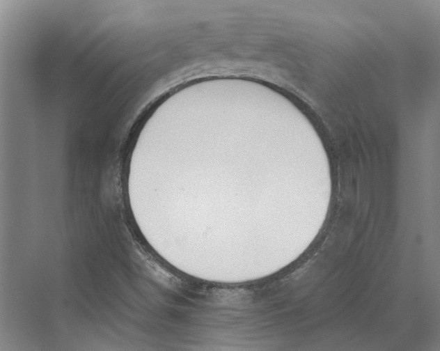 X0000069801498200606021425