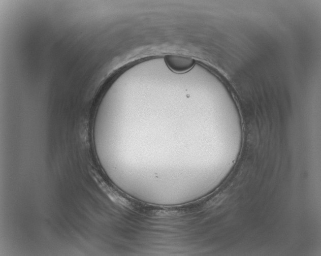 X0000069801499200606021425