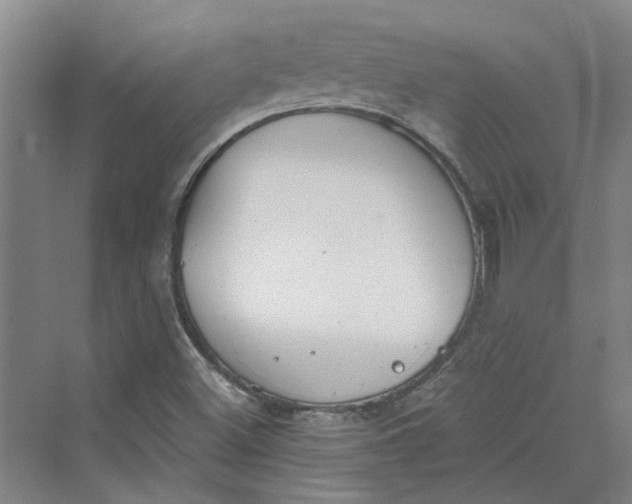 X0000069801500200606021425