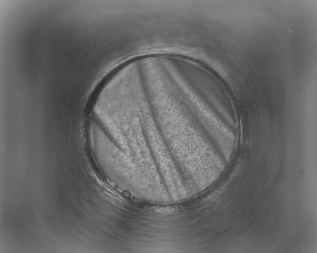 X0000069801501200606021425