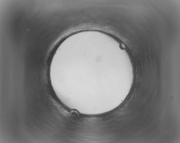 X0000069801502200606021425