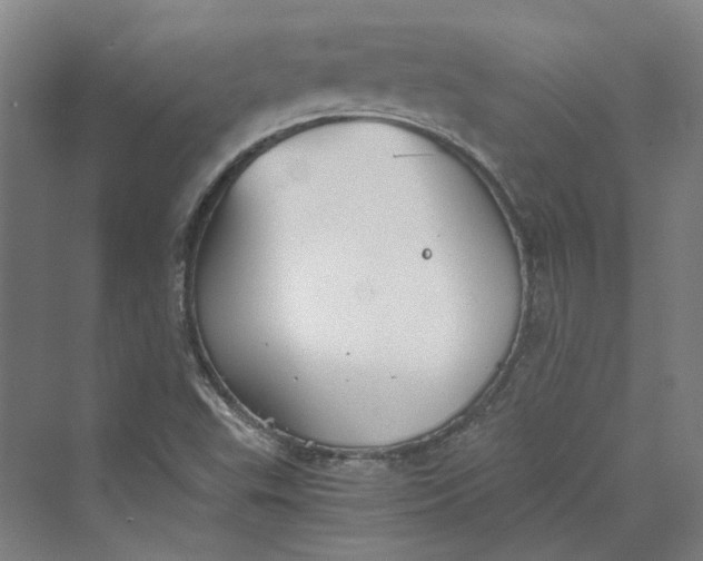 X0000069801503200606021425