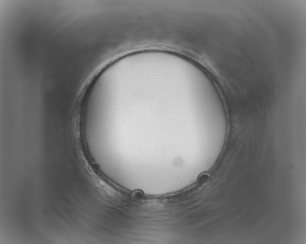 X0000069801504200606021425