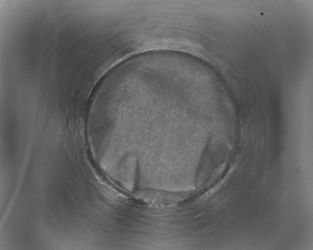 X0000069801505200606021425