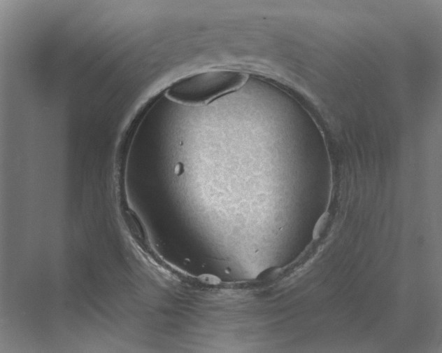 X0000069801506200606021425