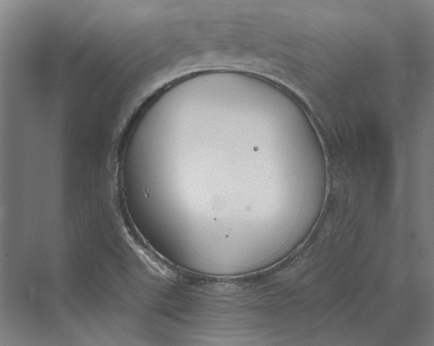 X0000069801507200606021425