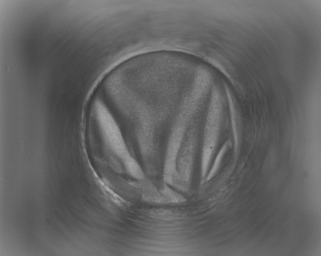 X0000069801508200606021426