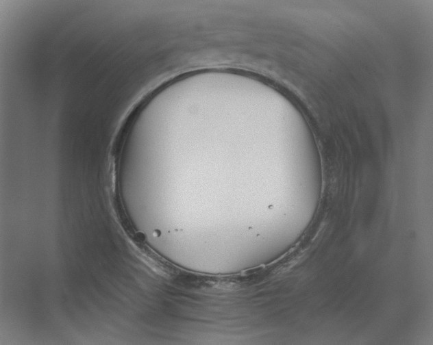 X0000069801509200606021426