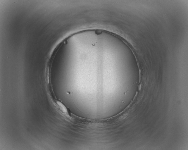 X0000069801510200606021426