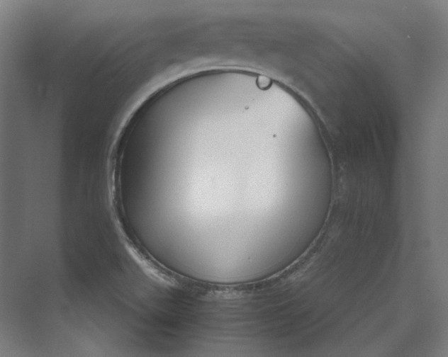 X0000069801511200606021426