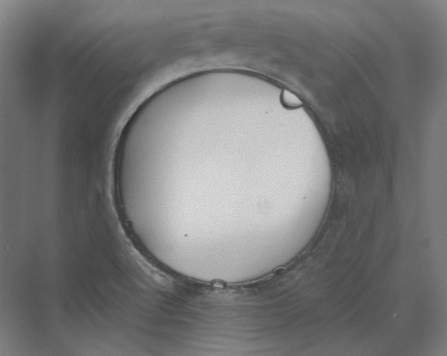 X0000069801512200606021426