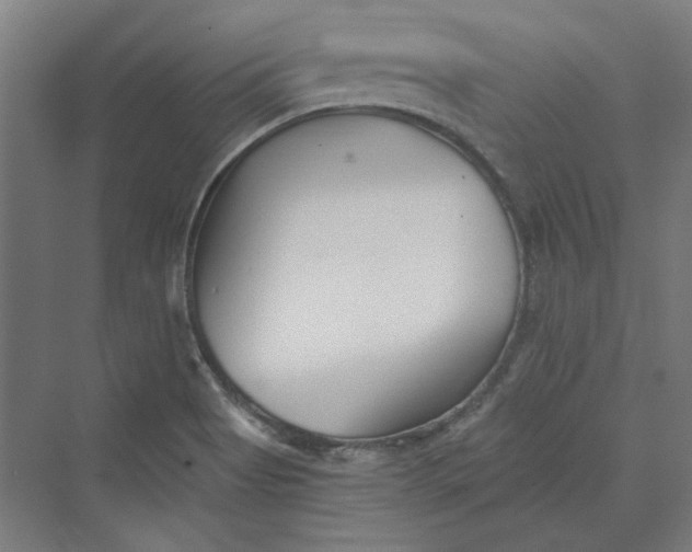 X0000069801513200606021426