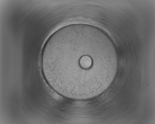 X0000069801514200606021426