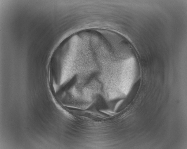 X0000069801515200606021426