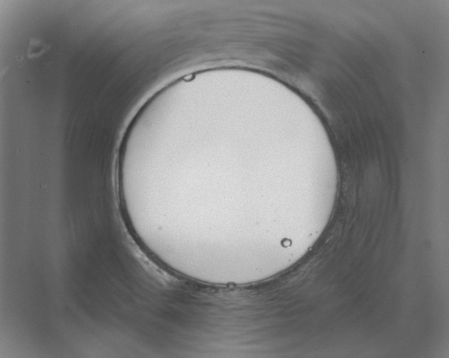 X0000069801516200606021426