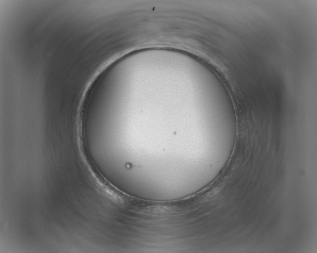 X0000069801517200606021426