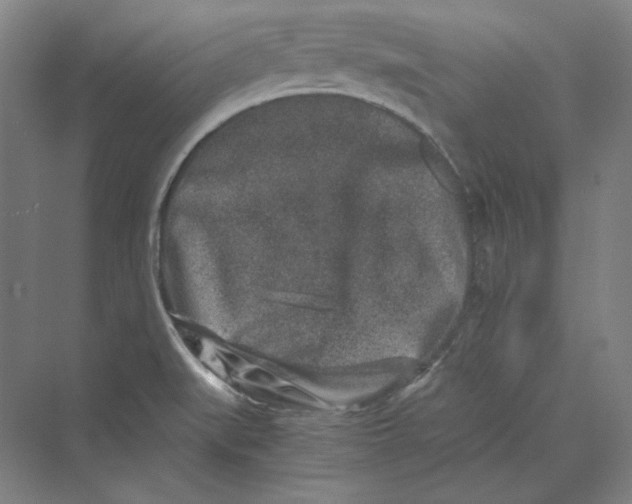 X0000069801519200606021426